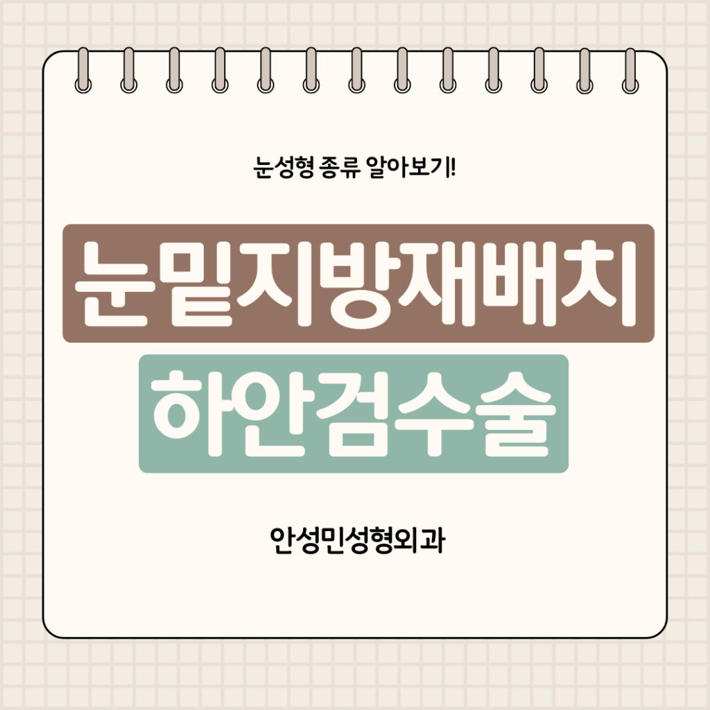 눈밑지방재배치와 하안검 수술 차이점